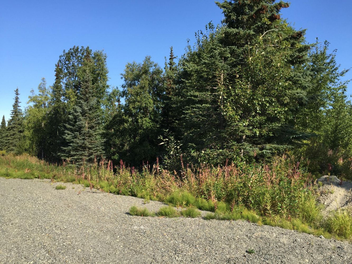 63727 Oil Well Rd, Ninilchik, AK 99639